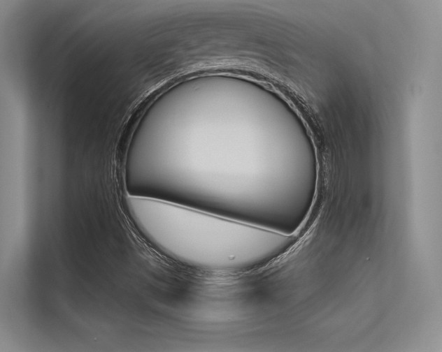 X0000113321497200909140936
