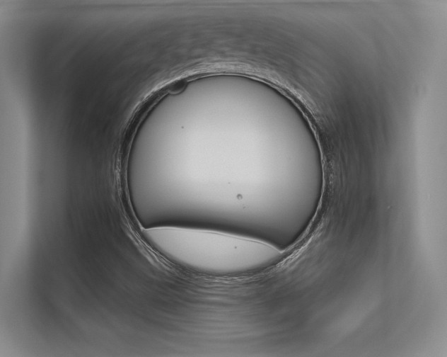 X0000113321499200909140936