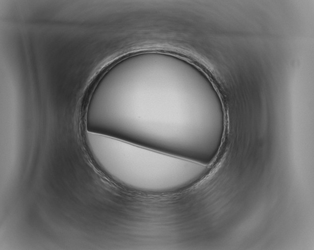 X0000113321501200909140936