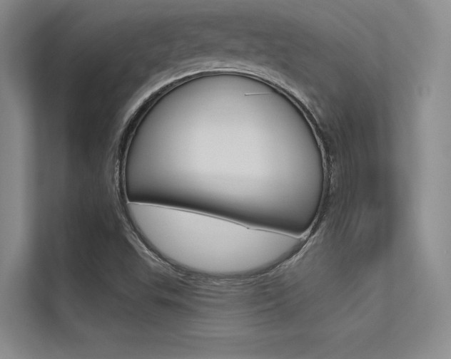 X0000113321503200909140936