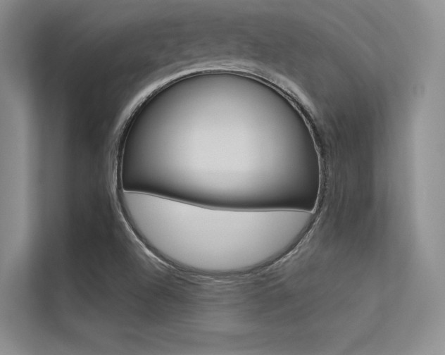 X0000113321504200909140936