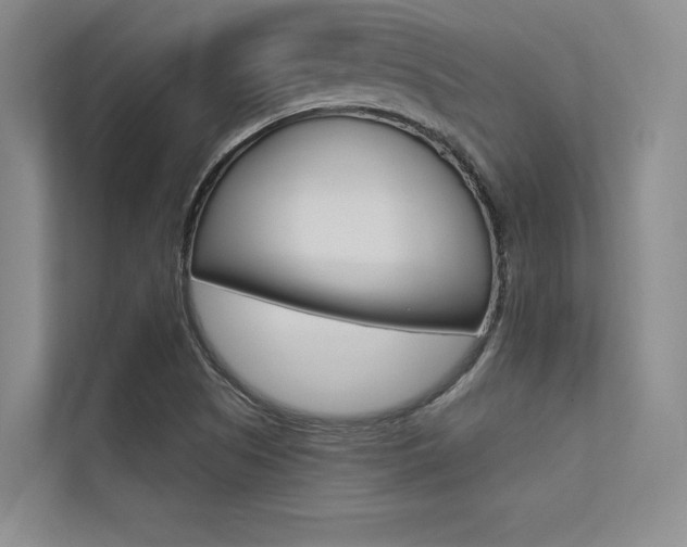 X0000113321505200909140936