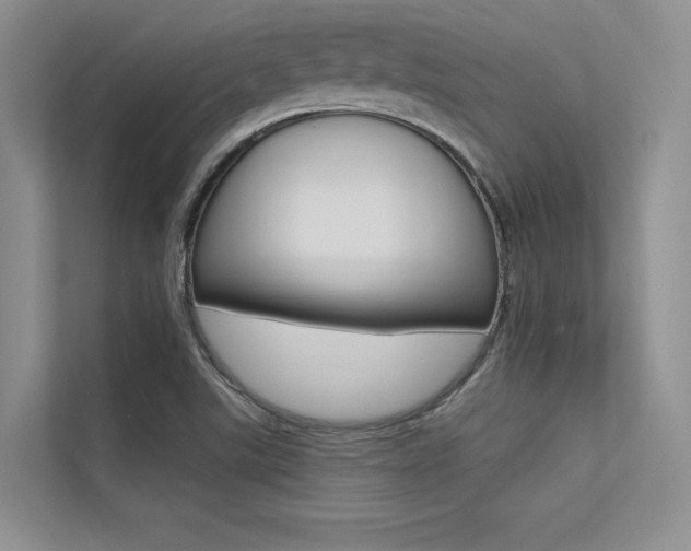 X0000113321507200909140936