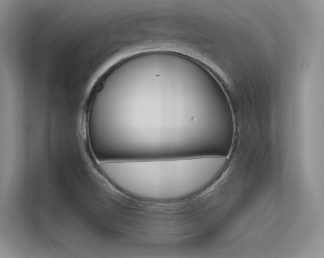 X0000113321510200909140936
