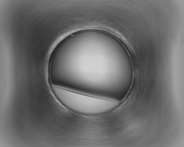 X0000113321512200909140936