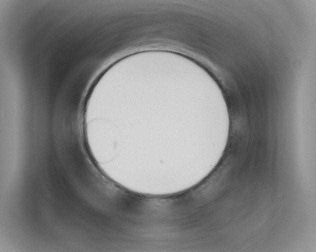 X0000113321514200909140936