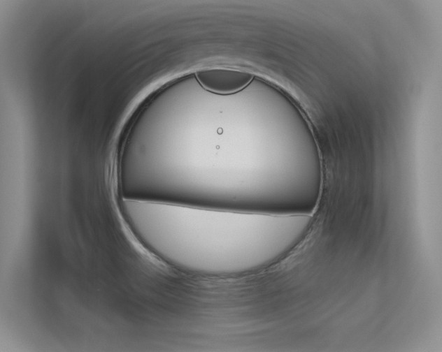 X0000113321515200909140936