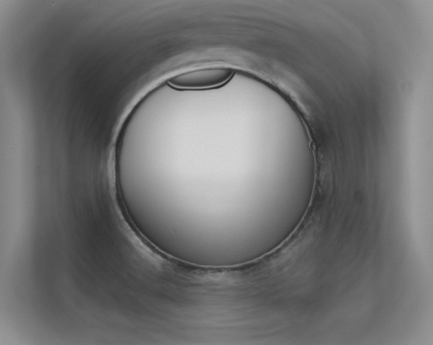X0000113321516200909140936