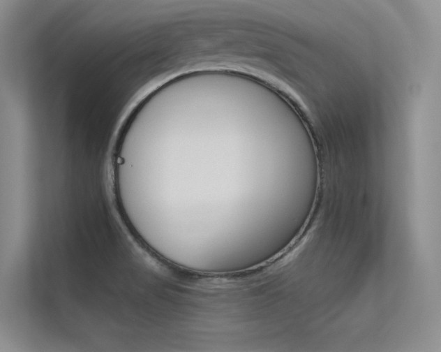 X0000113321517200909140936