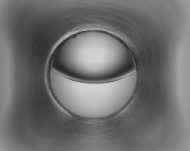 X0000113321518200909140936