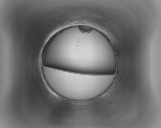 X0000113321519200909140936