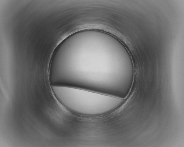 X0000113321521200909140936