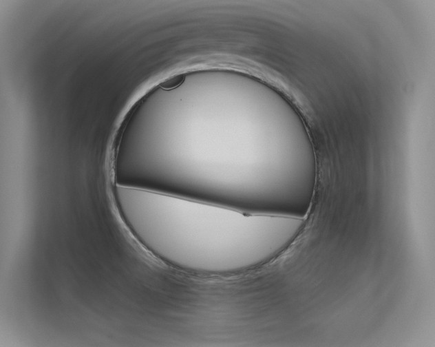 X0000113321522200909140936