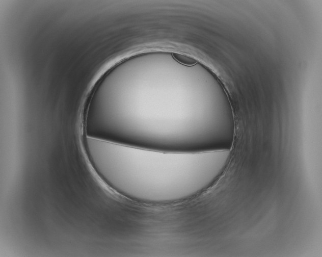 X0000113321523200909140936