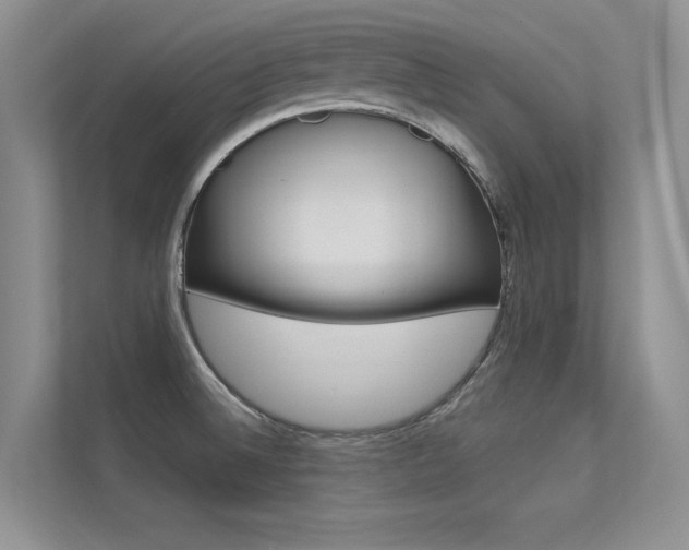 X0000113321524200909140936
