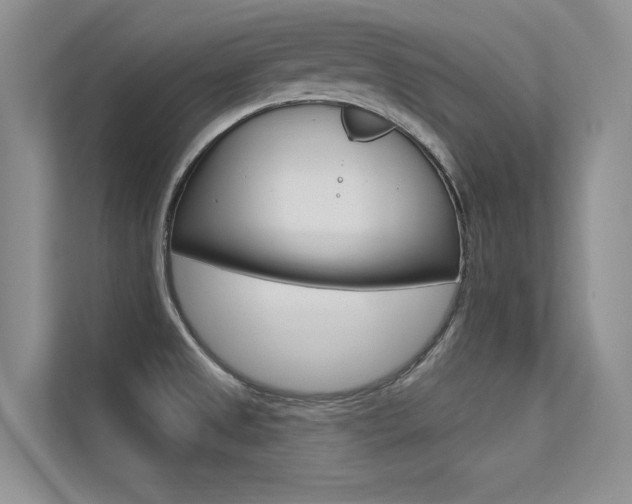 X0000113321525200909140936