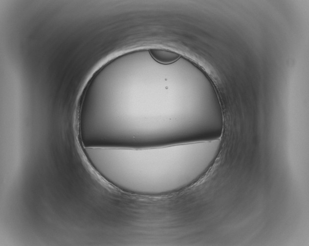X0000113321526200909140936