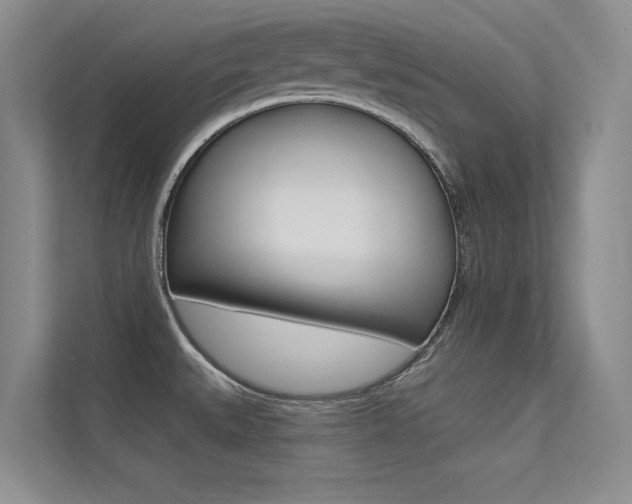 X0000113321527200909140936
