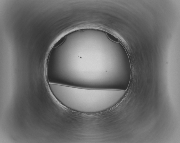 X0000113321528200909140936