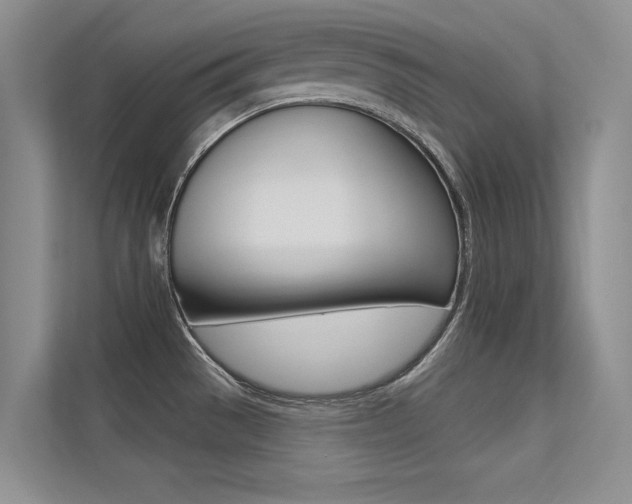 X0000113321529200909140936
