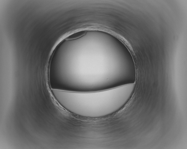 X0000113321530200909140936