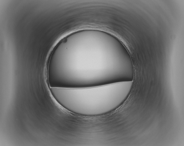 X0000113321531200909140936