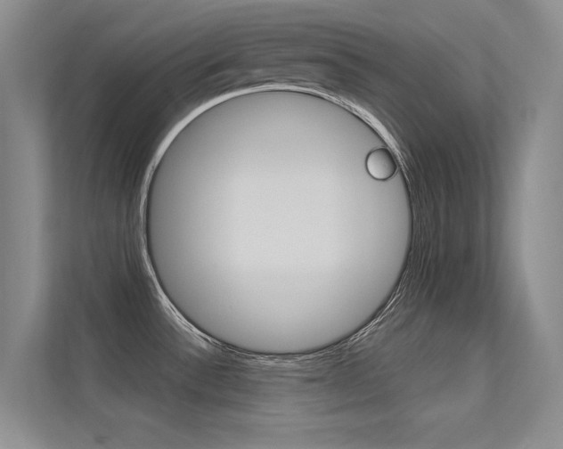 X0000113321532200909140936