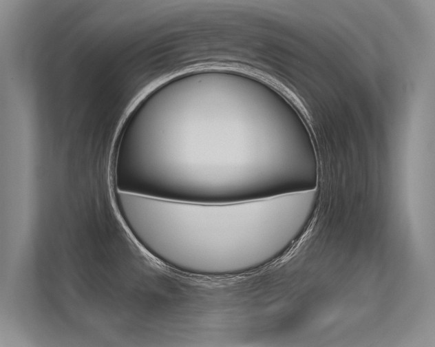 X0000113321533200909140936