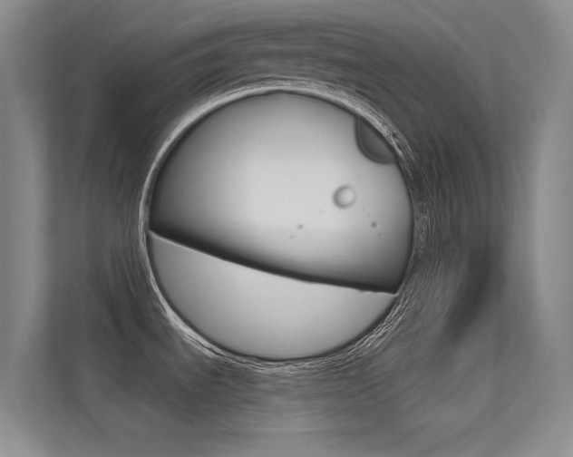 X0000113321535200909140936