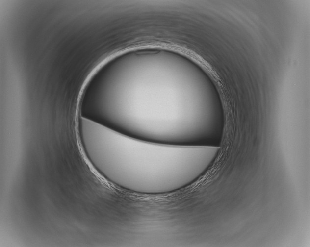 X0000113321536200909140936