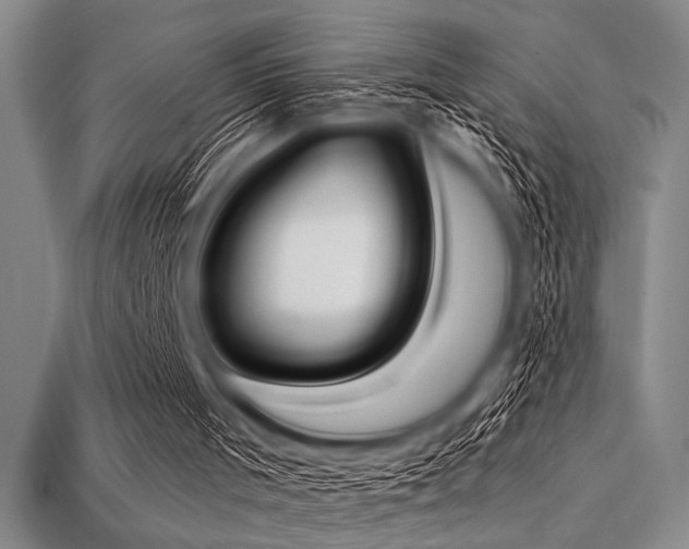 X0000113320001200909141405