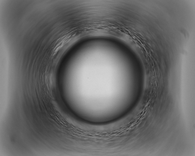 X0000113320002200909141405