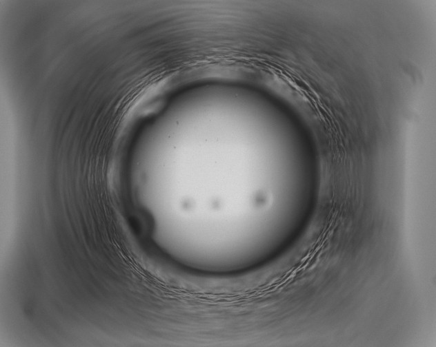 X0000113320003200909141405