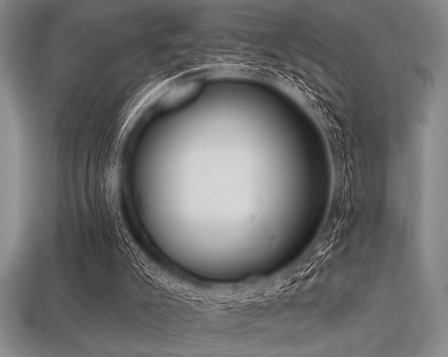 X0000113320007200909141405