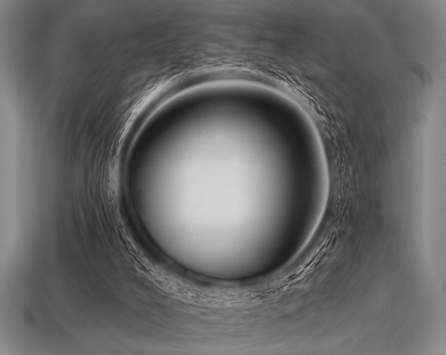 X0000113320008200909141405