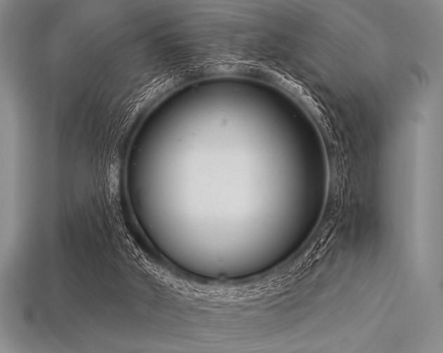 X0000113320010200909141405