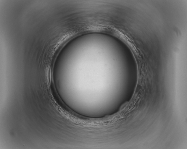 X0000113320011200909141405