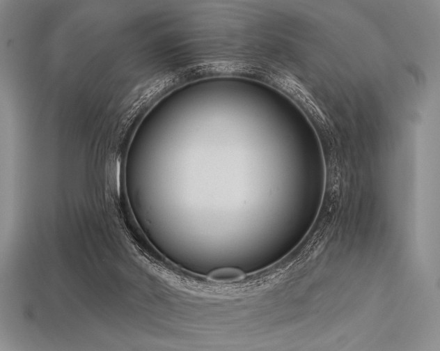 X0000113320014200909141405