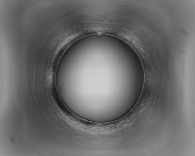 X0000113320016200909141405