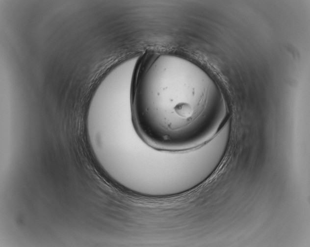 X0000113320017200909141405