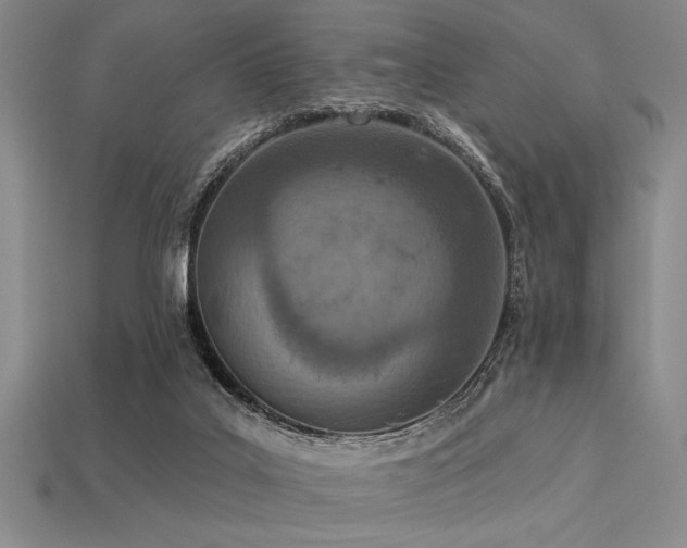 X0000113320019200909141405