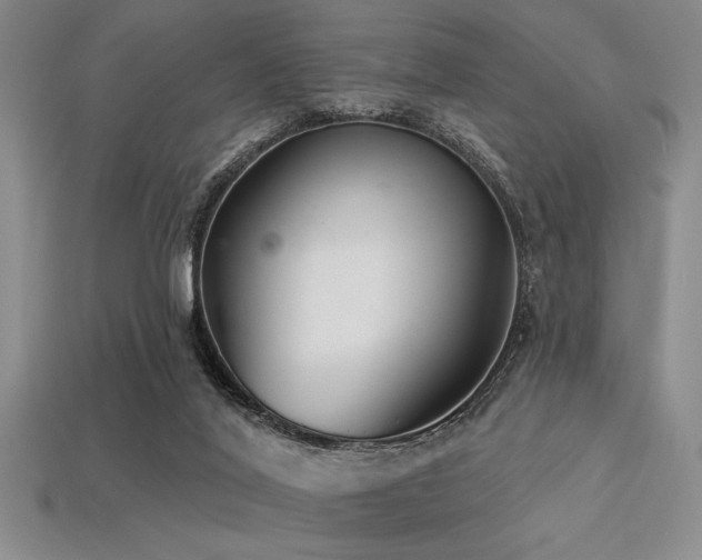 X0000113320020200909141405