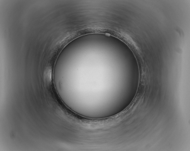 X0000113320021200909141405