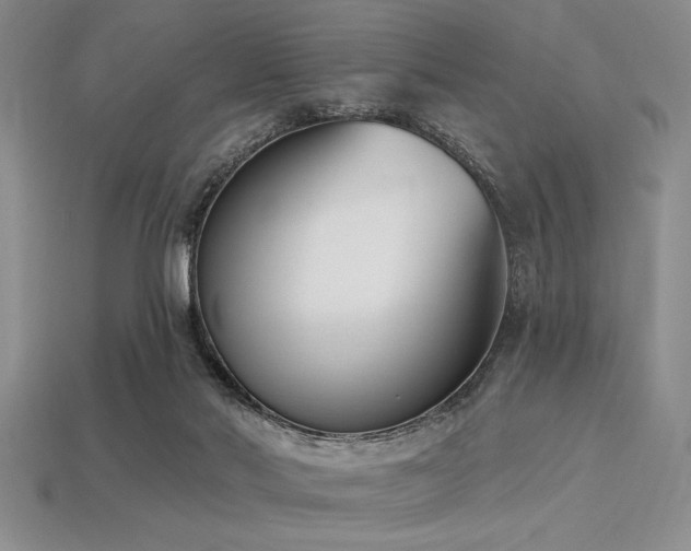 X0000113320022200909141405