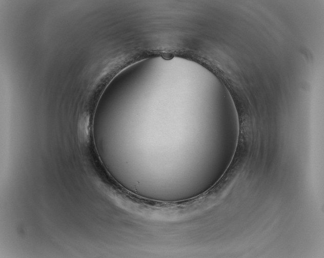 X0000113320024200909141405