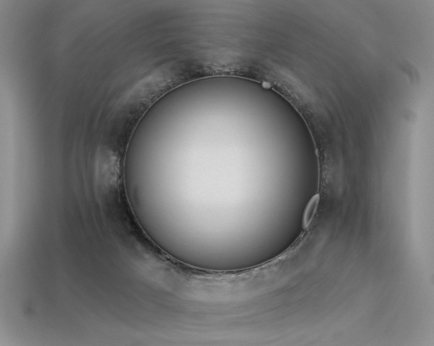 X0000113320025200909141405