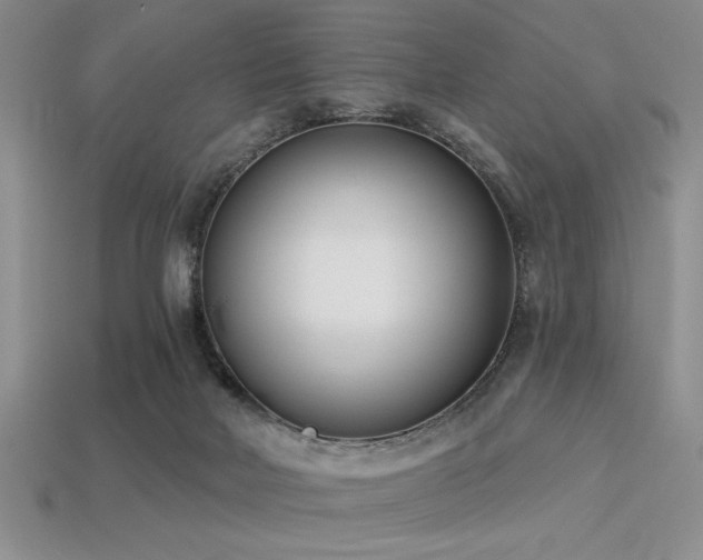 X0000113320026200909141405