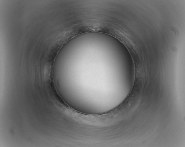 X0000113320030200909141405