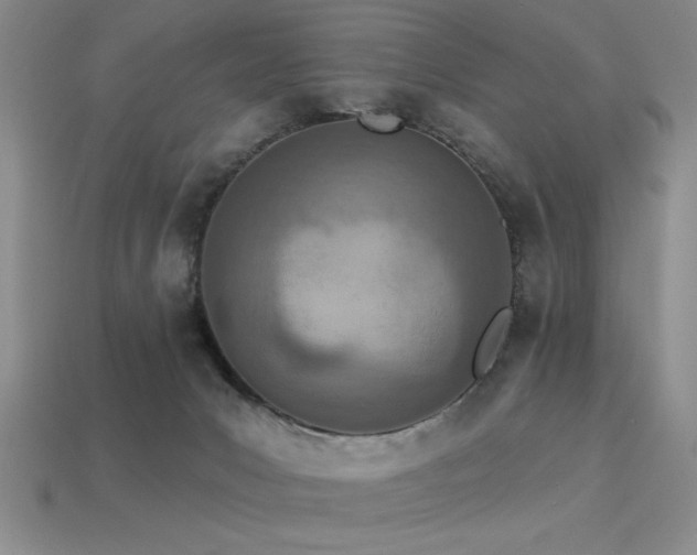 X0000113320031200909141405