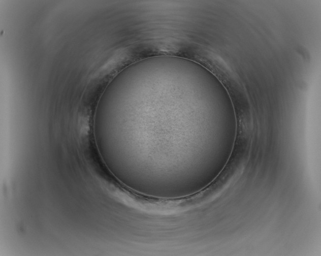 X0000113320032200909141405